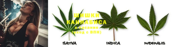 гашик Арсеньев