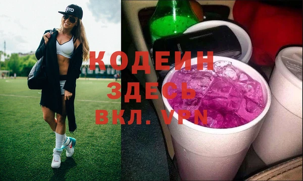 гашик Арсеньев