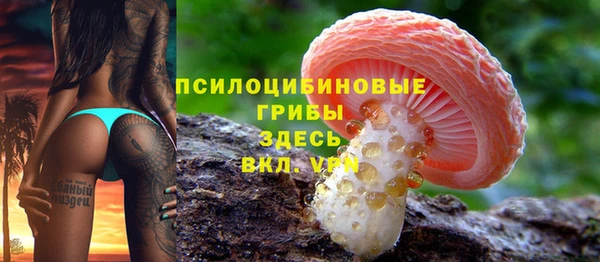 дживик Армянск