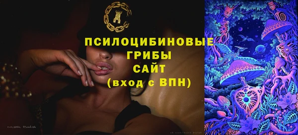 дживик Армянск