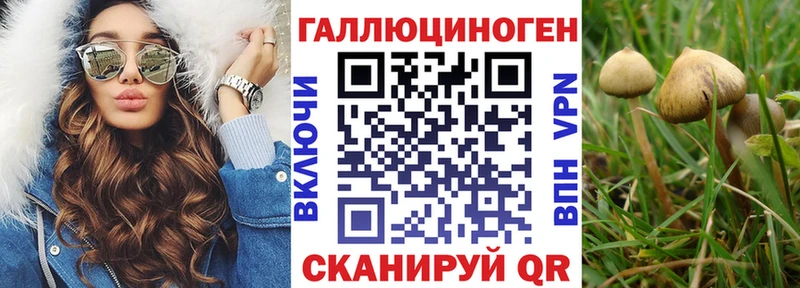 МЕГА ссылки Сорск Псилоцибиновые грибы GOLDEN TEACHER наркотики